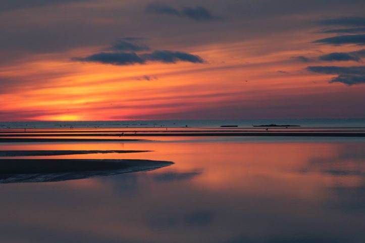 12901292_971958599519594_1743523693785020569_o