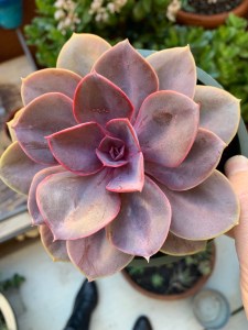 ax2U4FIlRoK%Nvkn79QvoQ