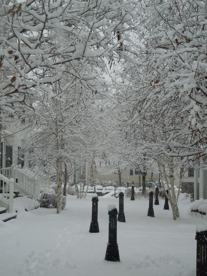 63D6E9C4-0546-474C-9CDF-F13C618034C5_1_105_c